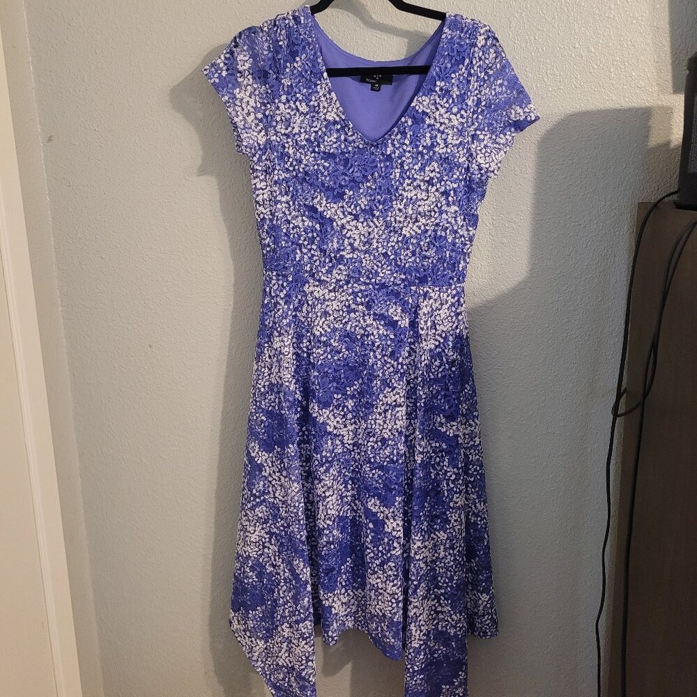 Blue and White Lace Dress